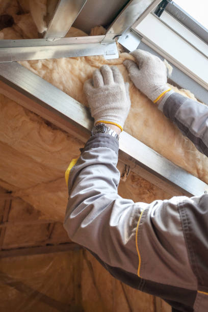 Best Residential Insulation in Mancelona, MI