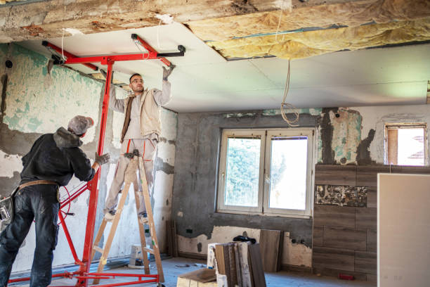 Best Geographic-Specific Insulation Services in Mancelona, MI